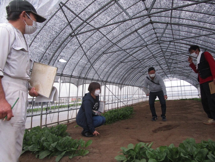 圃場の土に手で触れながら情報交換する若手生産者