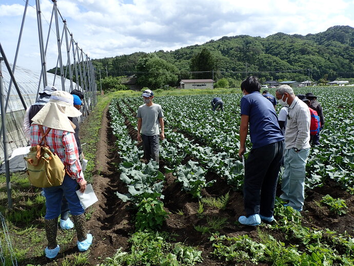 写真：圃場を見学する様子