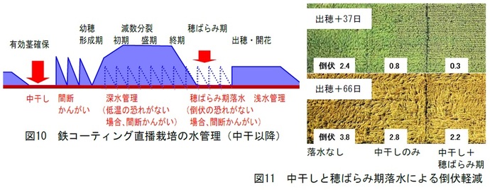 図10　11