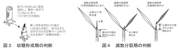 図3　4