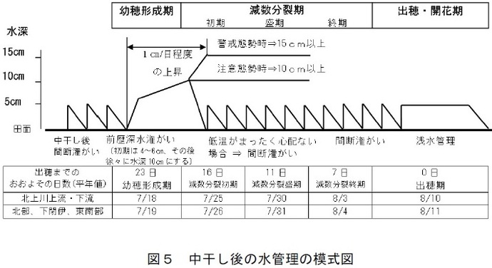 図5