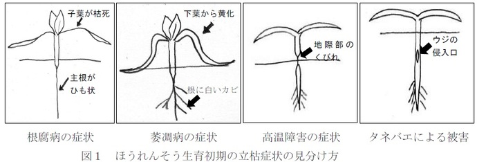 図1