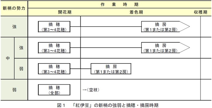 図1