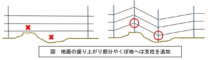 図