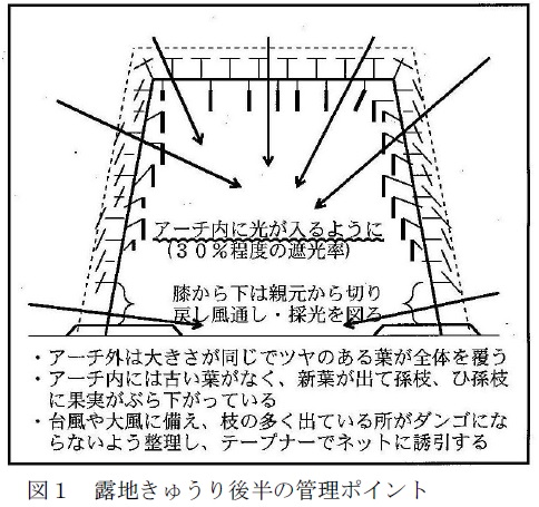 図1