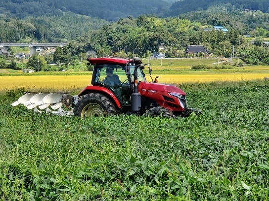 プラウによる大豆鋤き込み