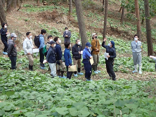 写真：畑わさび圃場見学会