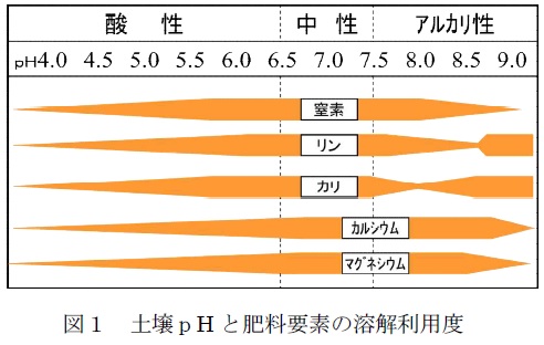 図1