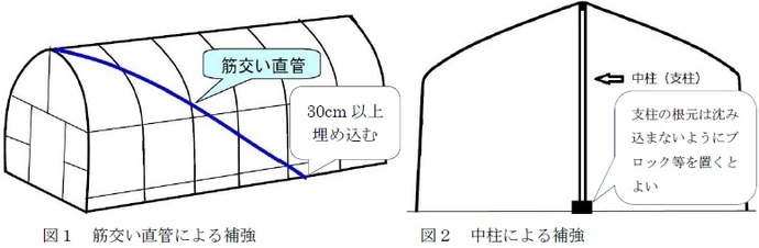 図1　2