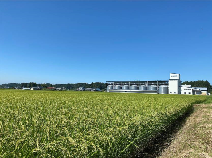 江刺金札米を支える種子生産圃場と施設
