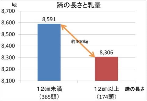 蹄の長い農家と短い農家を乳量で比較