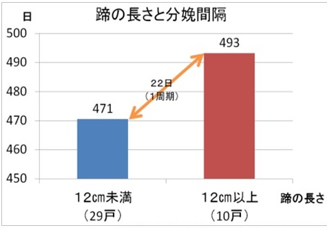 蹄の長い農家と短い農家の分娩間隔の比較