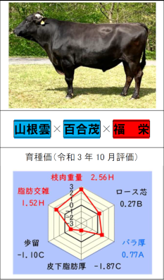 「ゆりぐも」の横向きの写真と育種価のレーダーチャート