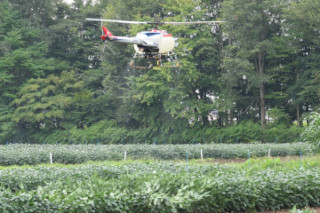 ドローンで大豆畑へ薬剤散布中の写真