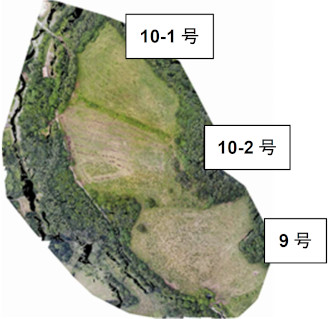 調査放牧地の全映写真