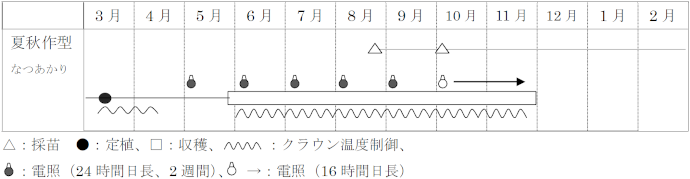 夏秋作型の作型表