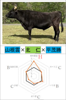 「あきぐも」の横向きの写真と育種価のレーダーチャート 