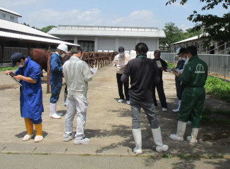 選抜、貸付調整の模様の写真