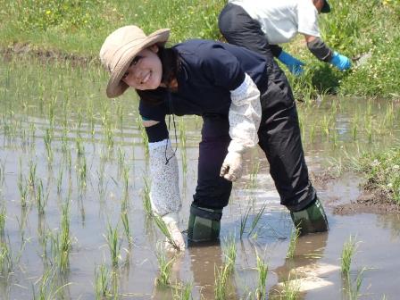 田んぼで作業中の西村技師の写真