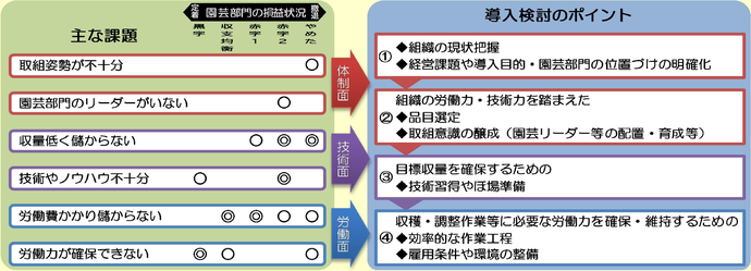 園芸作導入における課題と導入検討のポイントの関係図