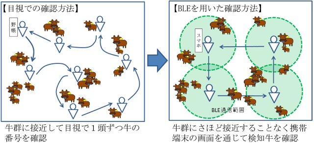 BLEを用いた牛の個体確認手法のイメージ図