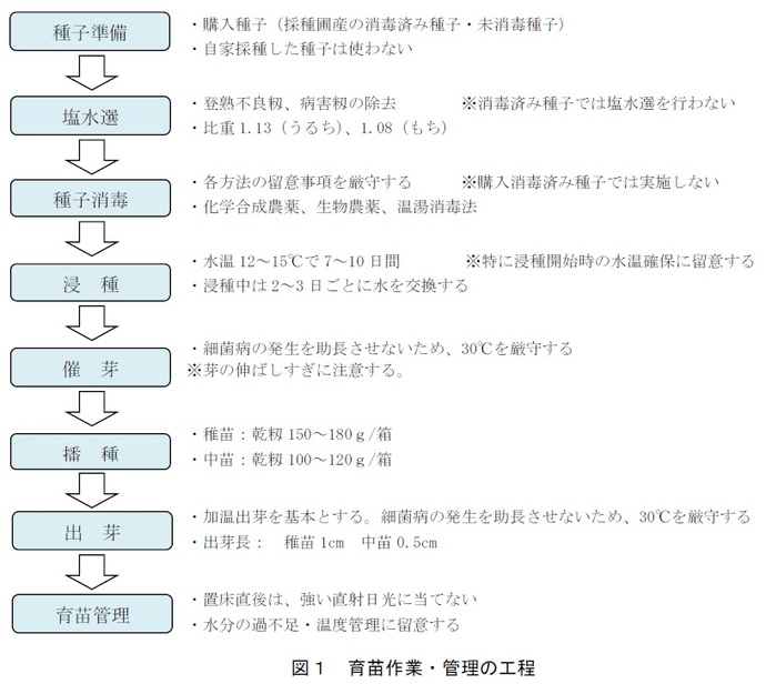 図1