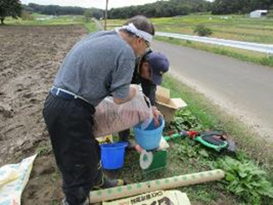 実証圃で調査をしている様子