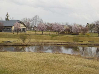 ひょうたん池から見た景色の写真