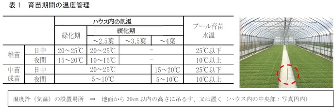 表1