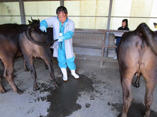 毛根採取の様子の写真