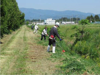 草刈り作業の様子の写真