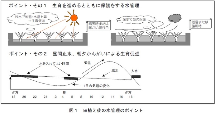 図1