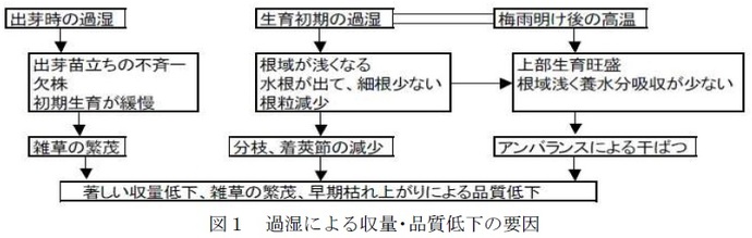 図1