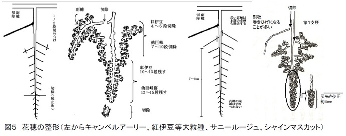 図5