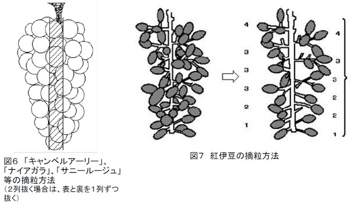 図67