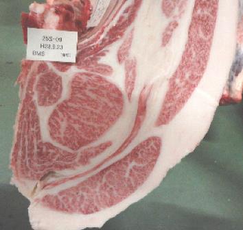 試験区1頭の枝肉の断面写真