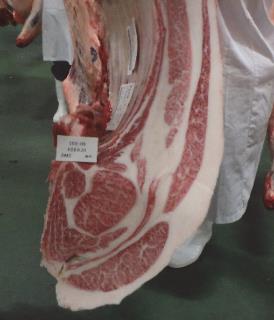 試験牛の枝肉断面の写真