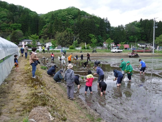 田植え作業の様子