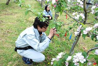 果樹巡回調査に同行中の写真