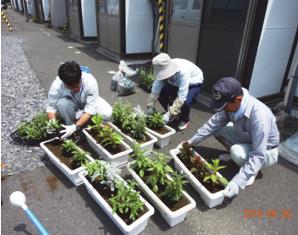 研究所員による植付作業風景の写真