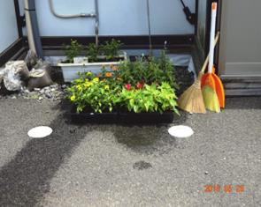 仮設住宅にお届けした花苗の写真