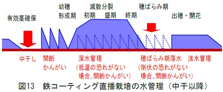 図13