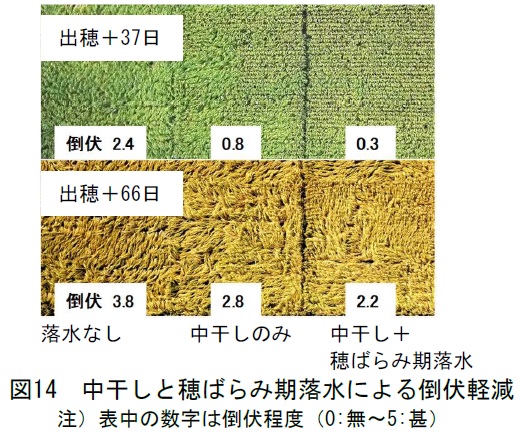 図14