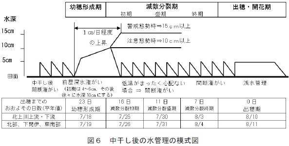 図6