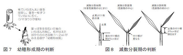 図7