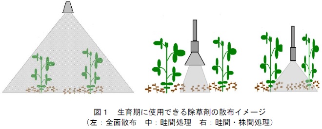 図1