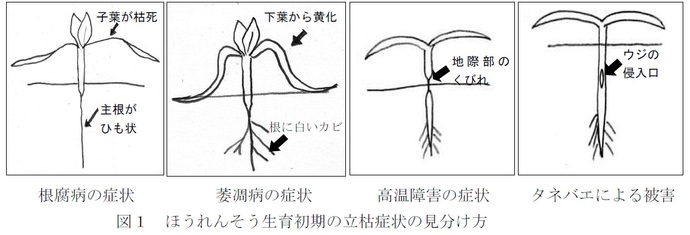 図1