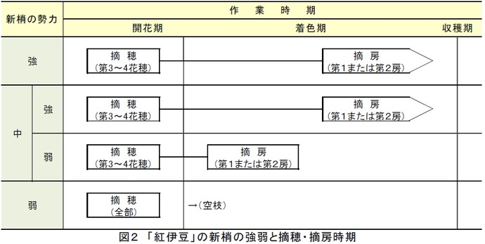 図2