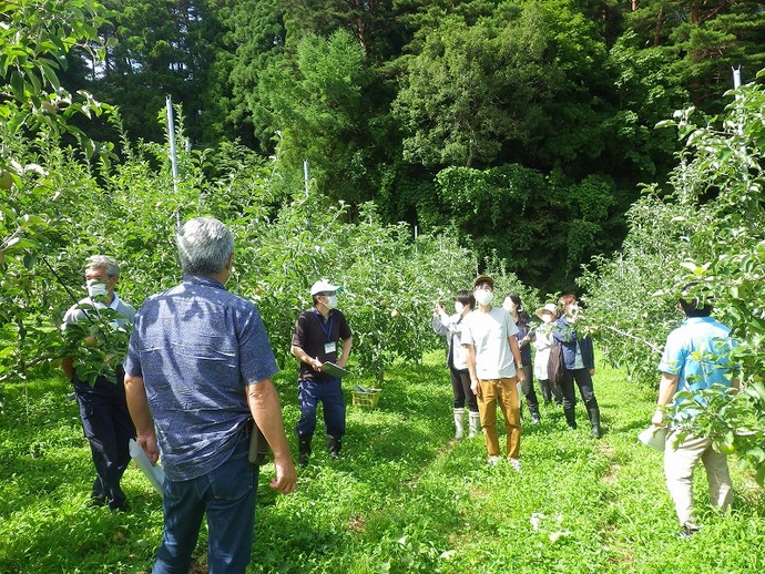 園地を見学する参加者