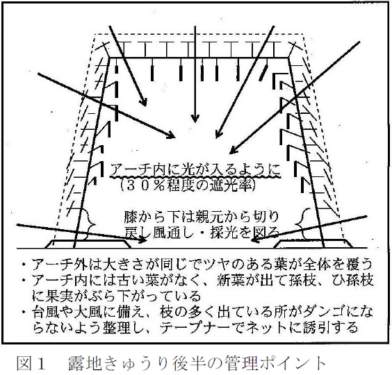 図1